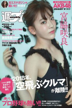 疯狂农场3美国派78
